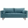 TOV Furniture Cave Dusty Velvet Loveseat Home Sofas & Sectionals