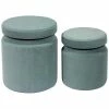 TOV Furniture Set Of 2 Sea Blue Storage Ottomans Home Ottomans & Poufs
